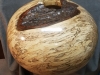 515-Spalted-Maple