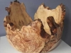 222-Spalted-Maple-root